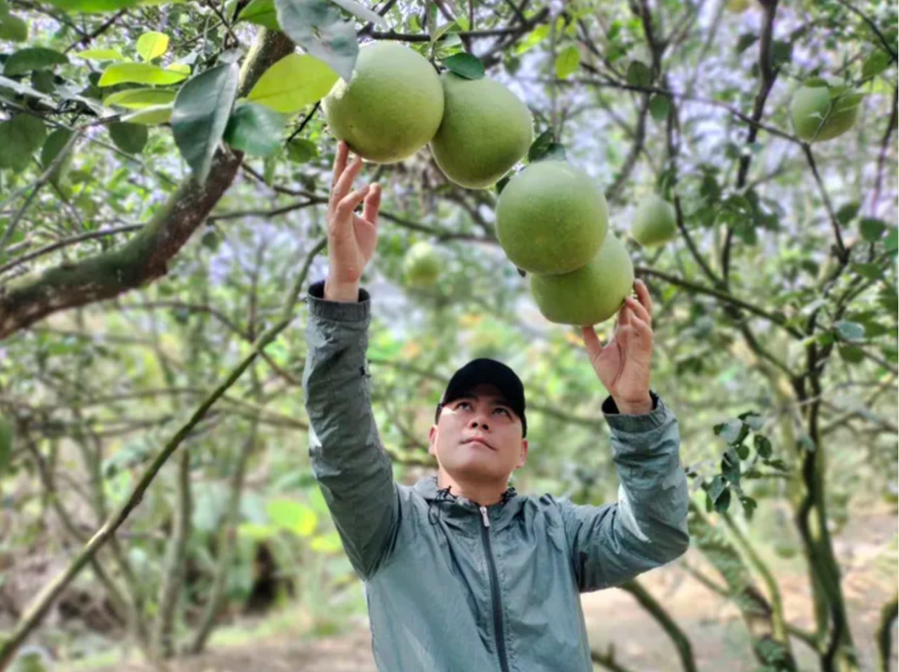 Việt Nam vừa có thành phố thứ 7, nơi cất giấu cỗ máy thời gian bằng đá và ngôi làng không bao giờ khoá cửa - Ảnh 6