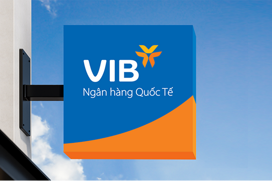 VIB điều chuyển CFO Hồ Vân Long sang vị trí chiến lược cấp cao - Ảnh 8