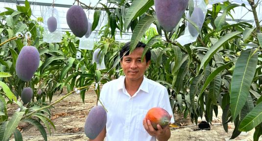 Quả "trứng mặt trời" đắt đỏ bậc nhất thế giới, 100 triệu đồng/cặp, ở Việt Nam có người trồng thành công - Ảnh 3