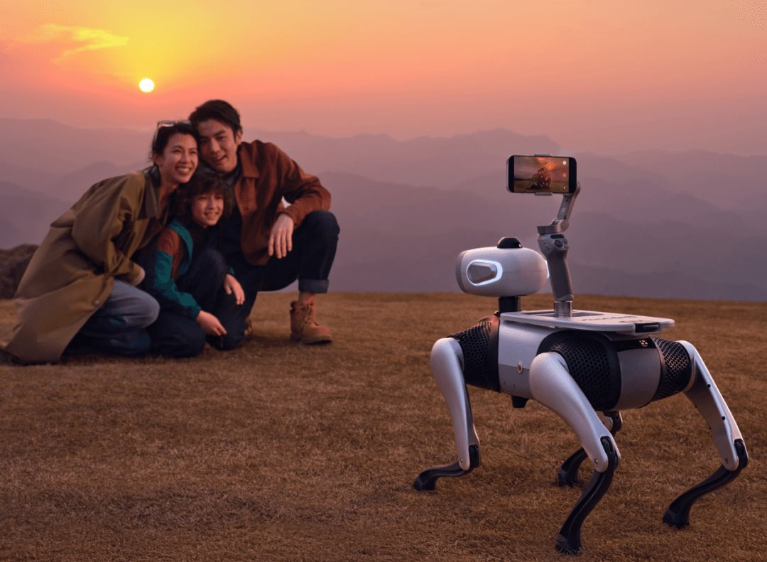 Doanh thu đạt gần 14 triệu USD chỉ sau 20 ngày: Tại sao sản phẩm chó robot tại Trung Quốc lại gây sốt? - Ảnh 2