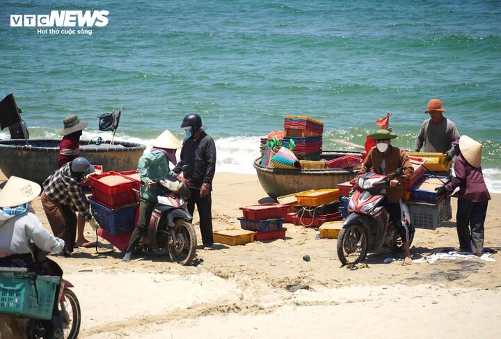 Ruốc xuất hiện dày đặc, ngư dân Đà Nẵng 'bỏ túi' bạc triệu sau vài giờ vươn khơi - Ảnh 1