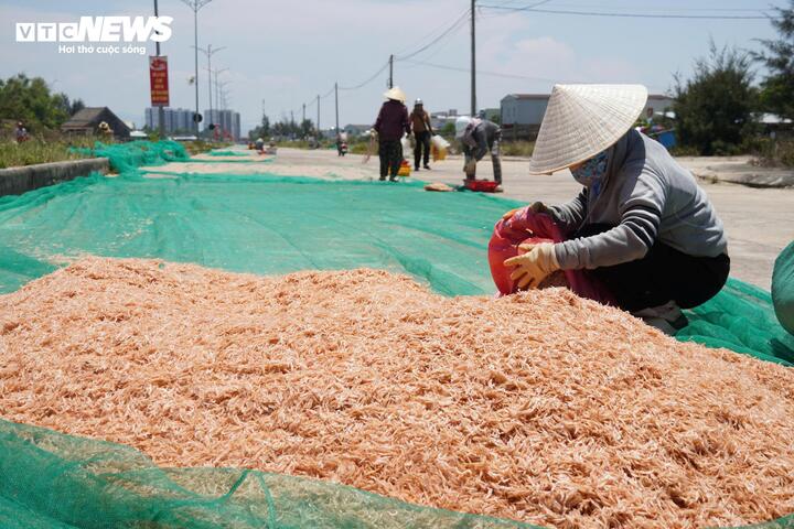 Ruốc xuất hiện dày đặc, ngư dân Đà Nẵng 'bỏ túi' bạc triệu sau vài giờ vươn khơi - Ảnh 7
