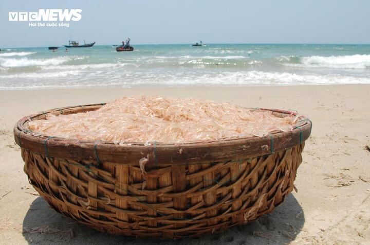 Ruốc xuất hiện dày đặc, ngư dân Đà Nẵng 'bỏ túi' bạc triệu sau vài giờ vươn khơi - Ảnh 2
