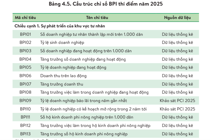 TPHCM dẫn đầu cả nước về Chỉ số hiệu quả kinh tế tư nhân - Ảnh 1