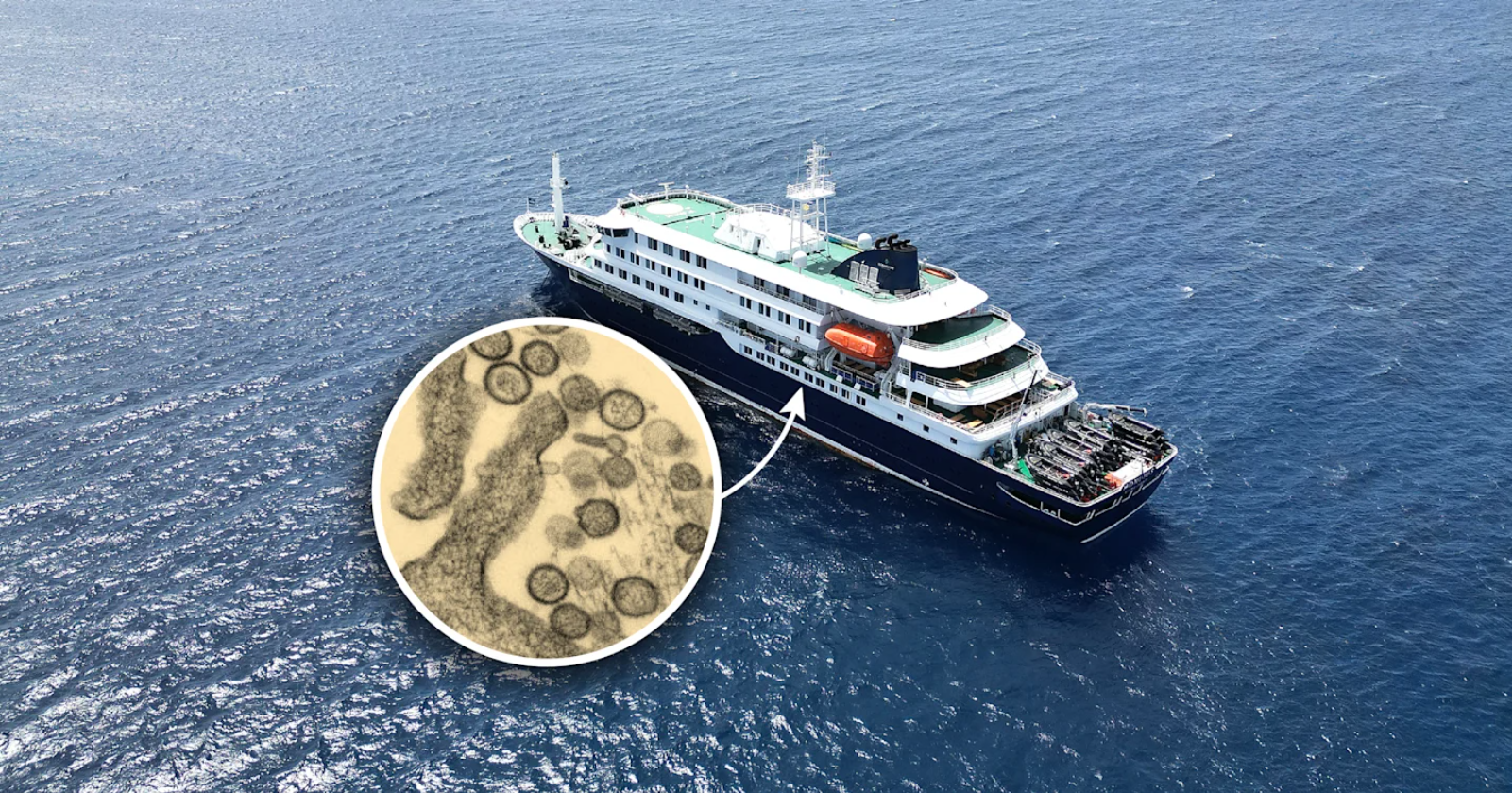 Du thuyền chở 147 người mắc kẹt trên biển vì bùng phát virus hiếm gặp, 3 người đã tử vong: WHO điều tra khẩn - Ảnh 1