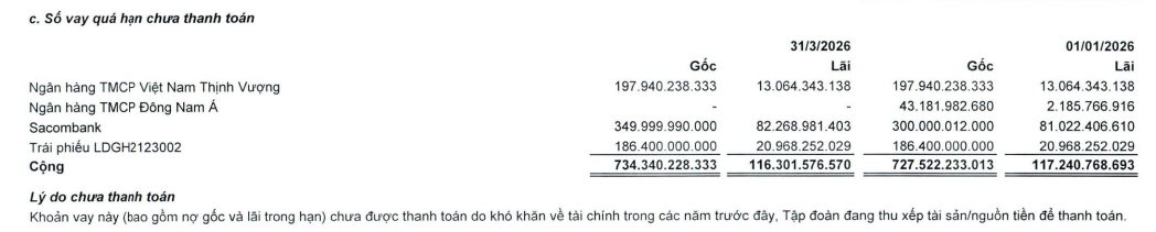 Một doanh nghiệp bất động sản bị Ngân hàng Quân đội phong tỏa gần 1.600 tỷ đồng, nợ quá hạn số tiền lớn tại VPBank và Sacombank - Ảnh 2