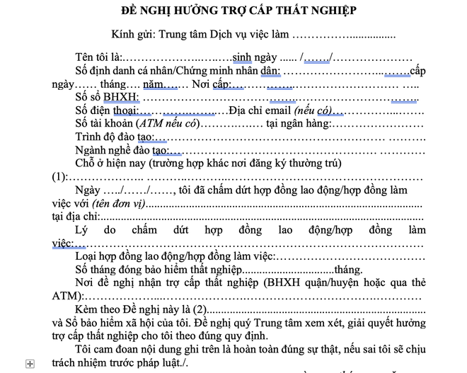 Hồ sơ hưởng trợ cấp thất nghiệp: Gồm những gì, nộp ở đâu? - Ảnh 3