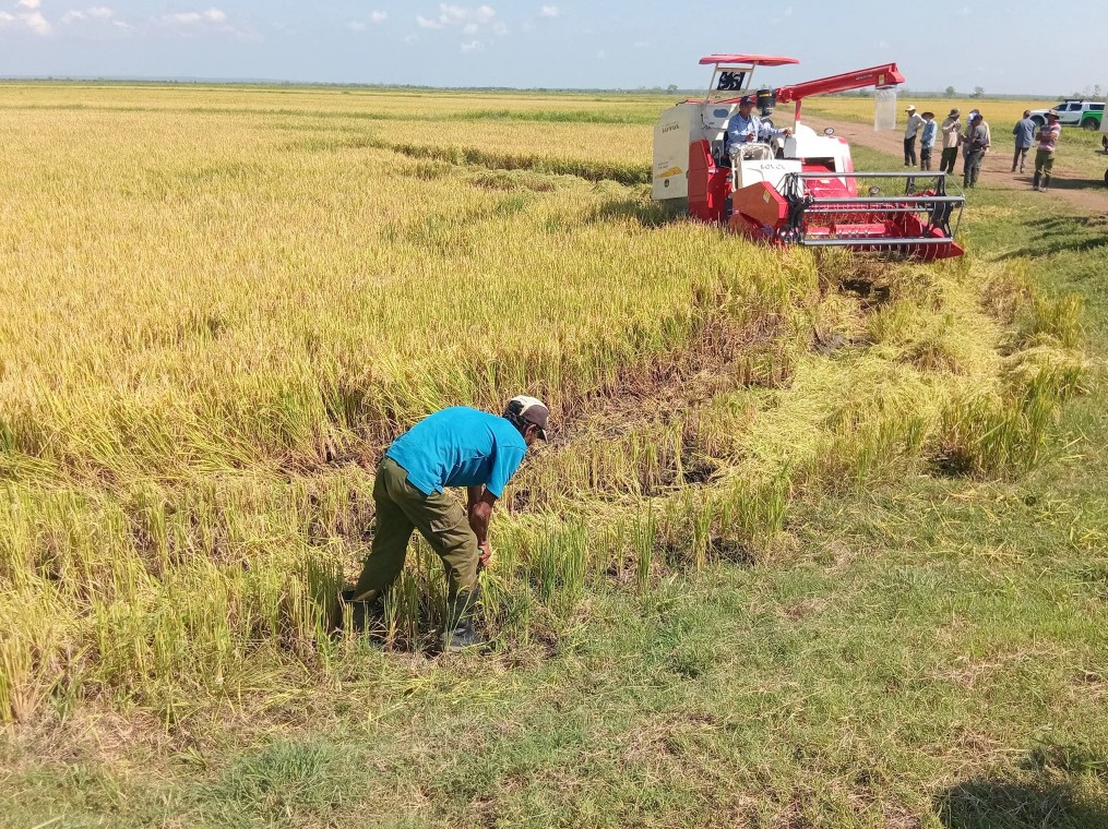 Cuba mở cánh cửa chưa từng có sau Cách mạng, Việt Nam lập tức xuất hiện: Dự án thứ hai bắt đầu 'hái quả' - Ảnh 1