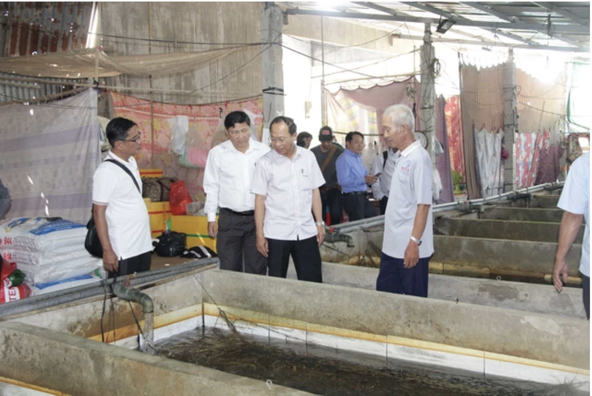 Giải pháp nào cho hàng ngàn tấn lươn ở miền Tây thoát cảnh bí đầu ra? - Ảnh 3