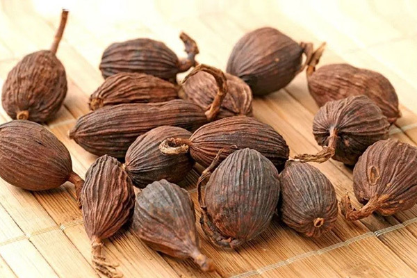 Thứ quả 'trời cho' mọc đầy dưới tán rừng Việt Nam, nay thành 'mỏ vàng' giá gần 300.000 đồng/kg khiến thương lái săn lùng - Ảnh 2