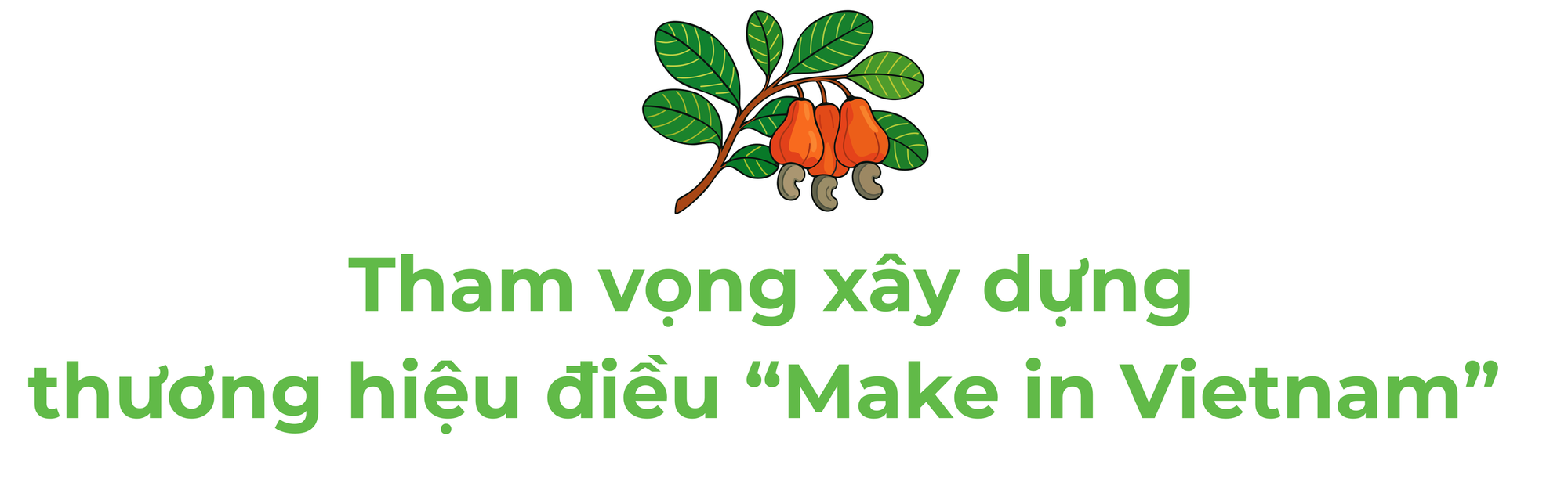 Campuchia, châu Phi đua nhau đưa vào Việt Nam một 'báu vật' - Là trợ lực giúp nước ta xuất khẩu bỏ xa thế giới - Ảnh 5