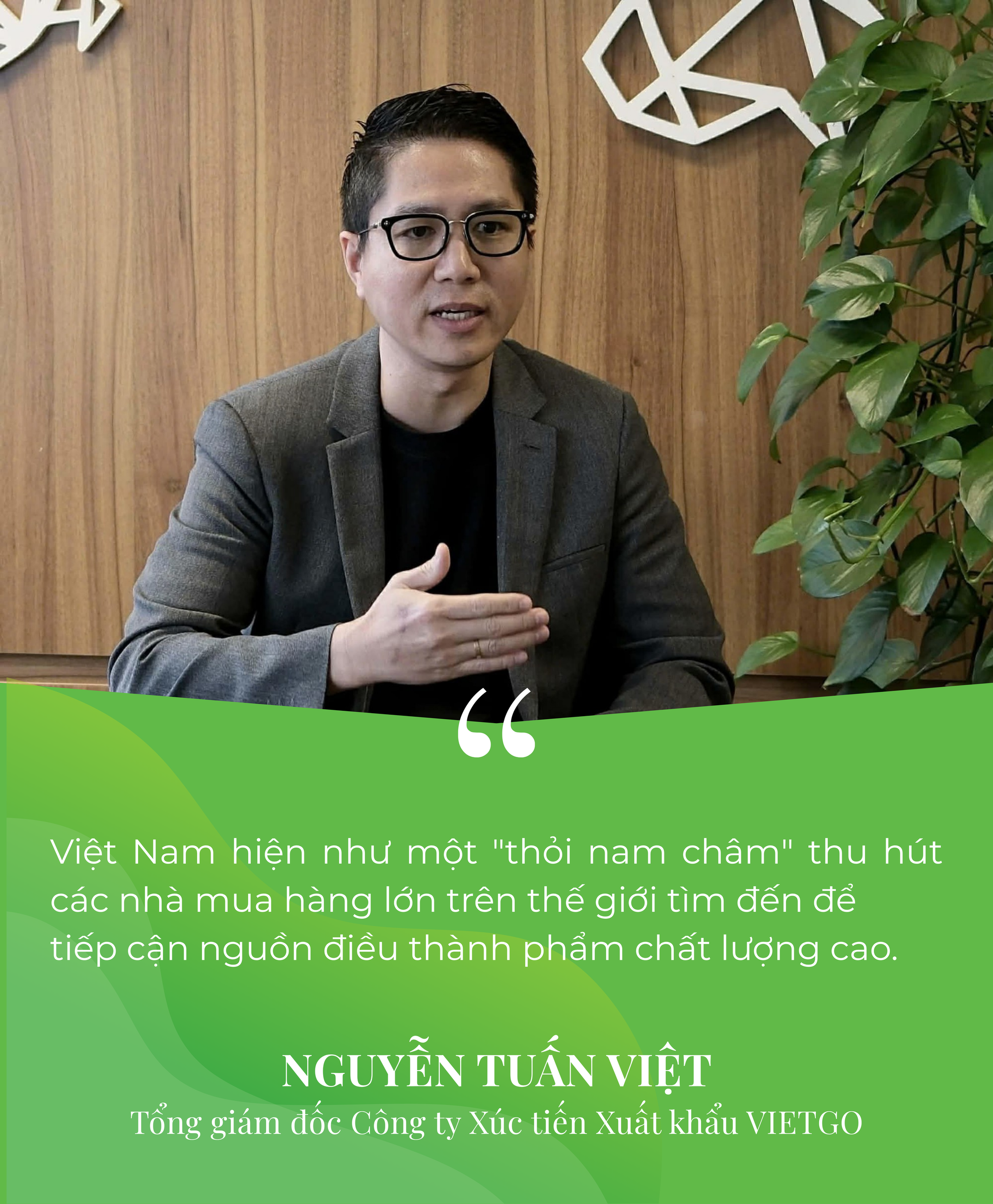 Campuchia, châu Phi đua nhau đưa vào Việt Nam một 'báu vật' - Là trợ lực giúp nước ta xuất khẩu bỏ xa thế giới - Ảnh 4