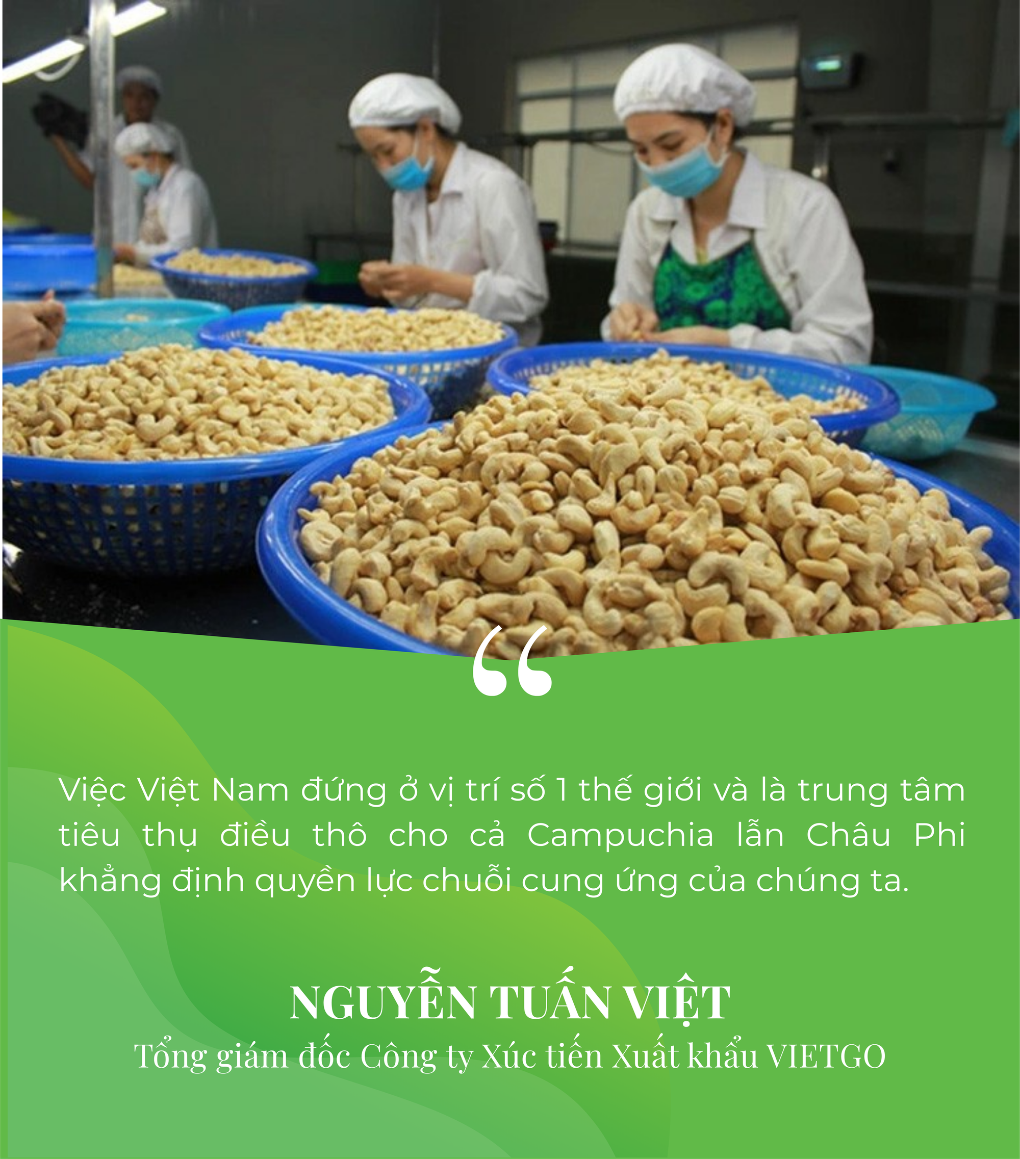 Campuchia, châu Phi đua nhau đưa vào Việt Nam một 'báu vật' - Là trợ lực giúp nước ta xuất khẩu bỏ xa thế giới - Ảnh 6
