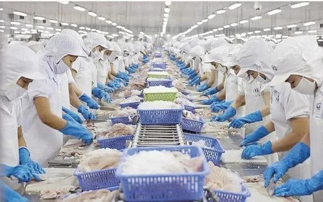 Xuất khẩu thủy sản hướng tới mục tiêu 12 tỷ USD - Ảnh 1