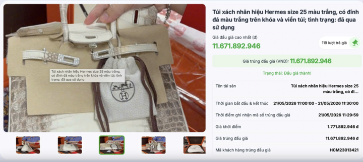 Đấu giá thành công 2 túi Hermès bạch tạng của Trương Mỹ Lan, thu hơn 14 tỷ đồng - Ảnh 2