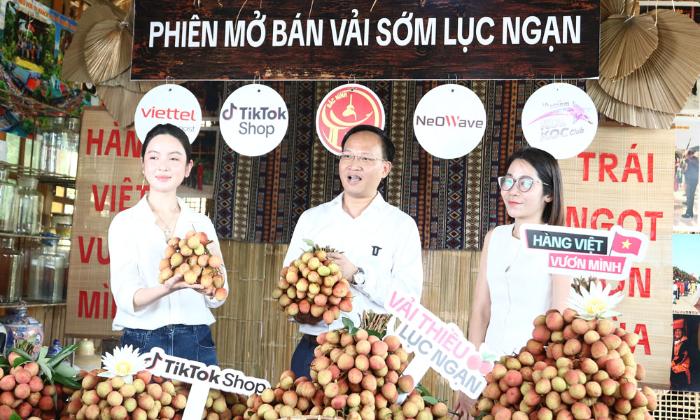 Phó chủ tịch tỉnh livestream bán vải thiều thu hút hàng trăm ngàn lượt xem, chốt 4.830 đơn - Ảnh 1