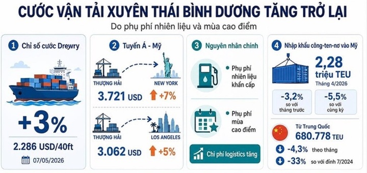Cước tàu biển tăng trở lại, doanh nghiệp Việt Nam cần làm gì? - Ảnh 1