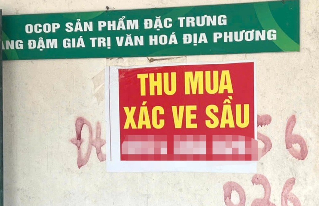 Thương lái bất ngờ thu mua 1 loại xác động vật giá 2 triệu đồng/kg, người dân đổ xô vào rừng tìm - Ảnh 2