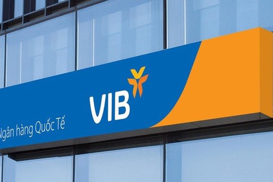 VIB điều chuyển CFO Hồ Vân Long sang vị trí chiến lược cấp cao - Ảnh 13