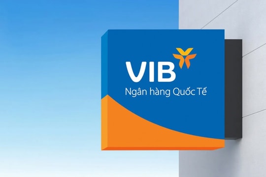VIB điều chuyển CFO Hồ Vân Long sang vị trí chiến lược cấp cao - Ảnh 22