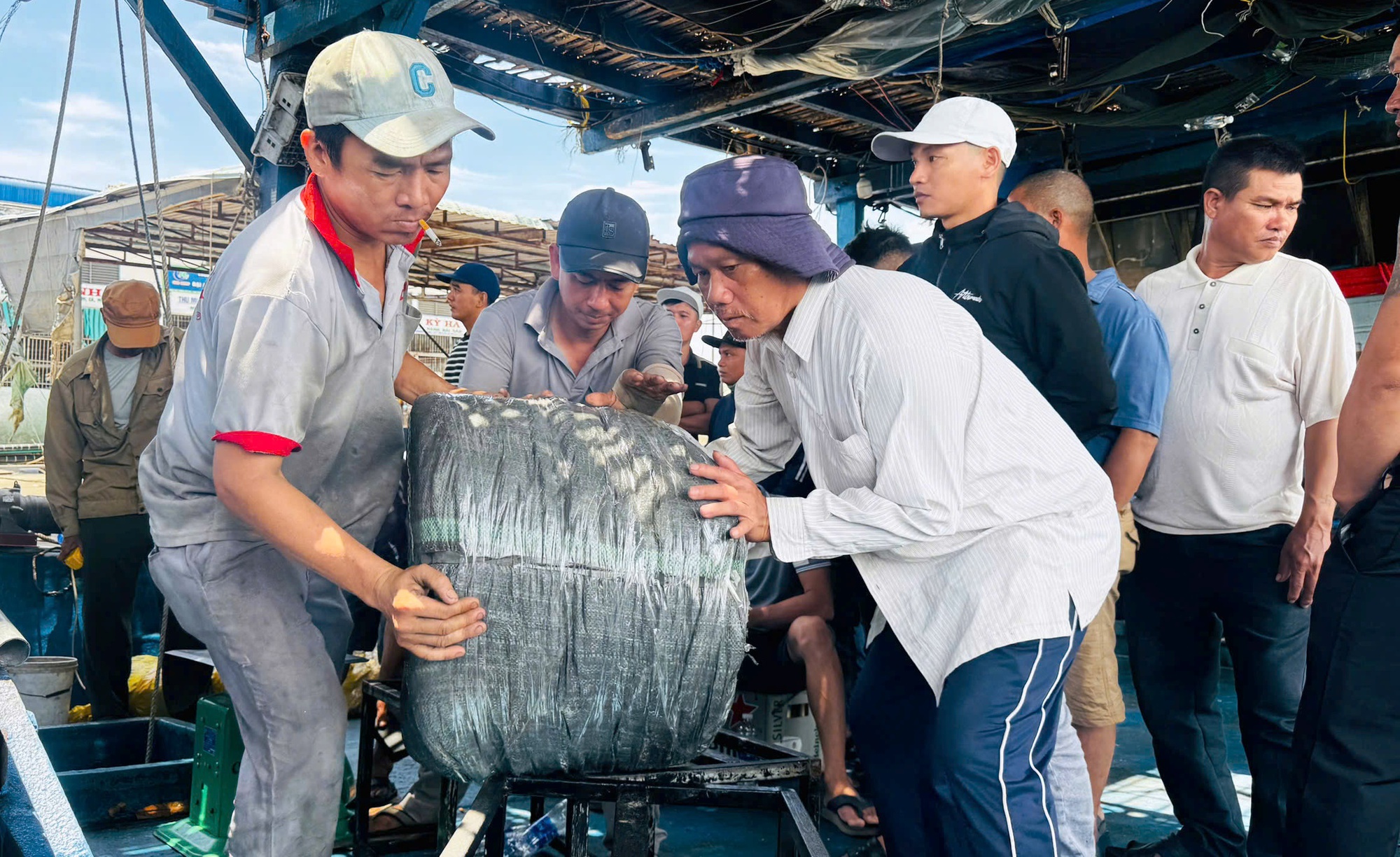 Tàu câu mực thu gần chục tỉ đồng mỗi chuyến biển, nhờ giá mực khô tăng cao kỷ lục - Ảnh 2