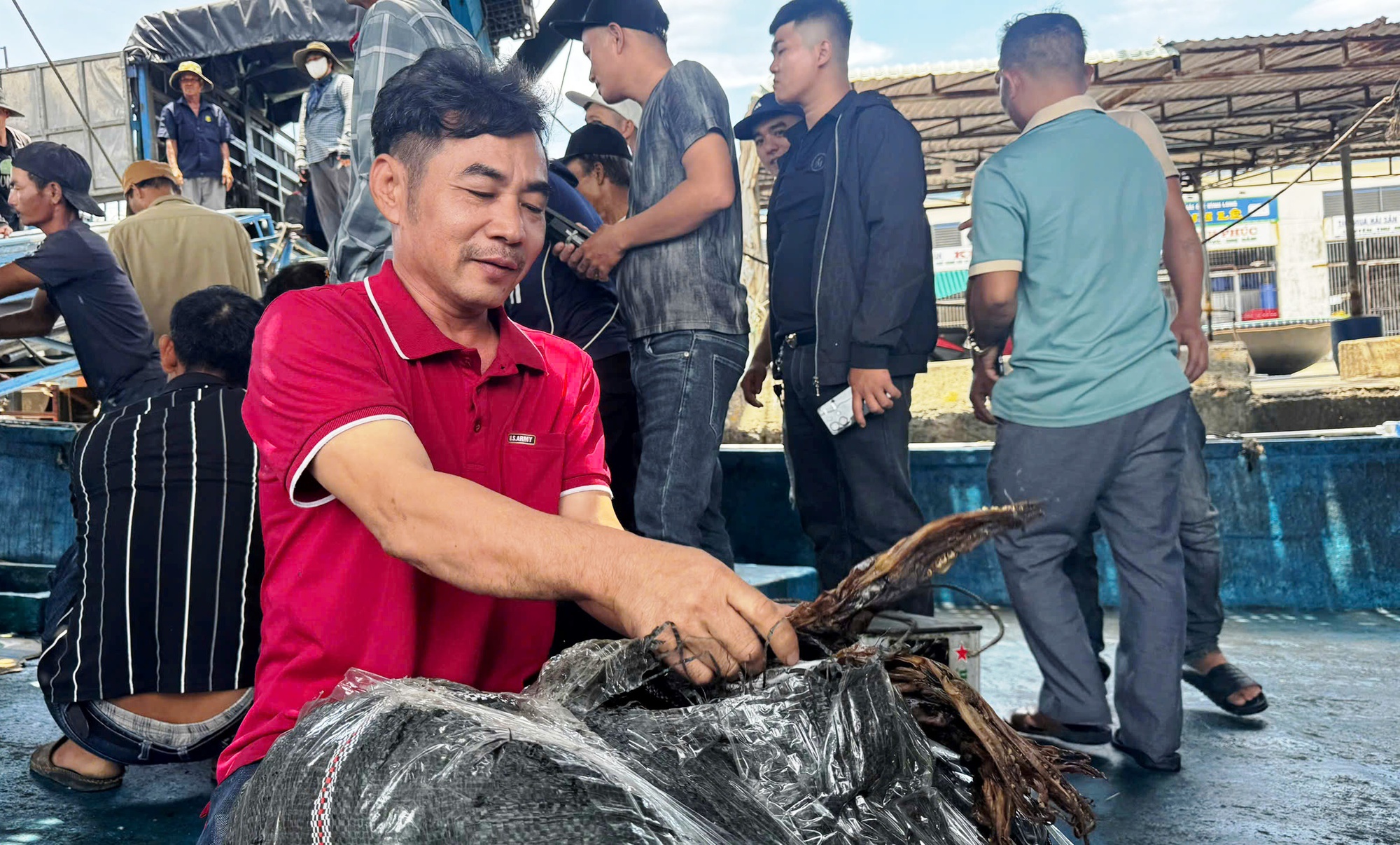 Tàu câu mực thu gần chục tỉ đồng mỗi chuyến biển, nhờ giá mực khô tăng cao kỷ lục - Ảnh 1