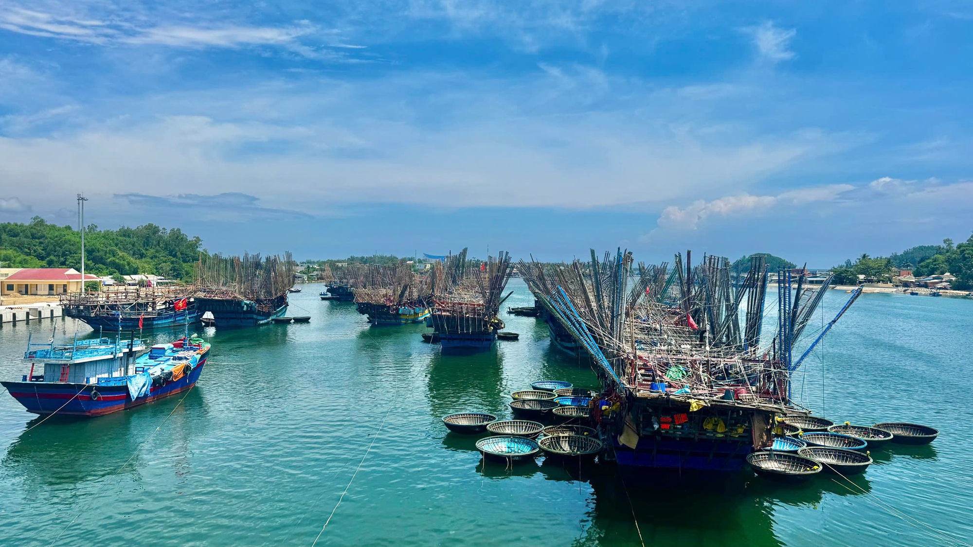 Tàu câu mực thu gần chục tỉ đồng mỗi chuyến biển, nhờ giá mực khô tăng cao kỷ lục - Ảnh 6