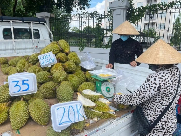 Doanh nghiệp và người trồng sầu riêng "đứng ngồi không yên" - Ảnh 2