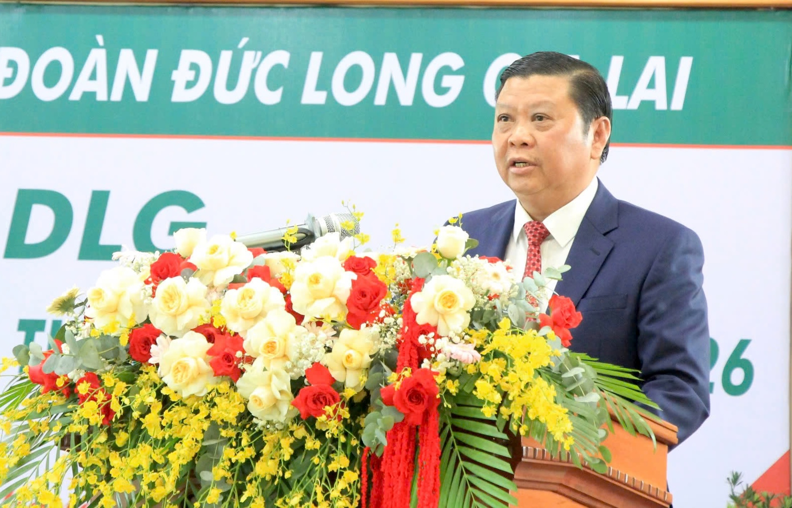 Đức Long Gia Lai tập trung phát triển năng lượng tái tạo và hạ tầng giao thông - Ảnh 1