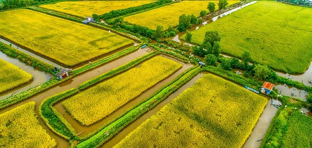 Trình Chính phủ bổ sung 10 khoản thu nhập được miễn thuế thu nhập cá nhân - Ảnh 1
