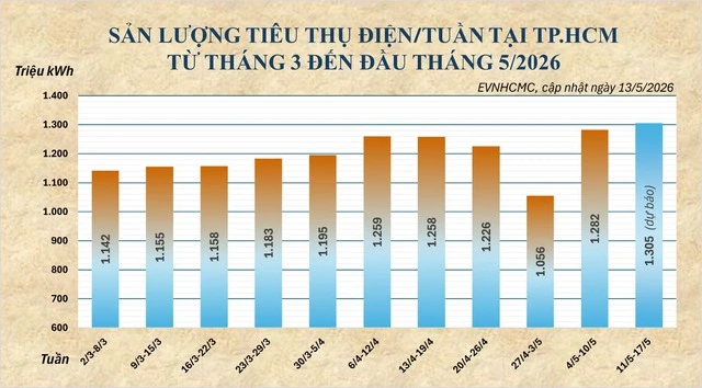 Nắng nóng kéo dài, tiêu thụ điện TP.HCM lập kỷ lục mới - Ảnh 2