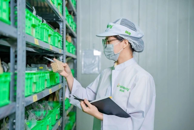 Vinasoy công bố thông điệp mới, kiến tạo dưỡng chất lành từ đậu nành và hạt - Ảnh 2