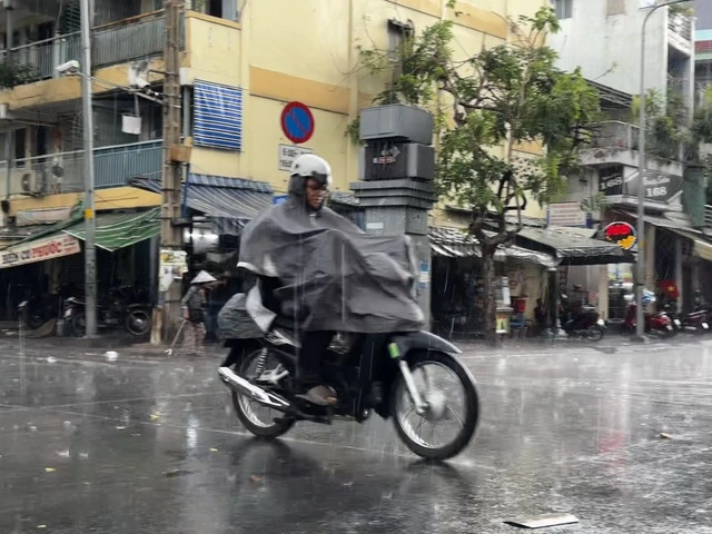 'Mưa vàng' giải nhiệt cho TP.HCM và Nam bộ - Ảnh 3