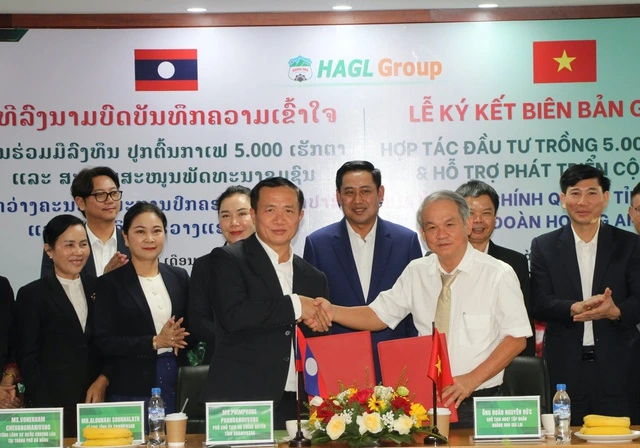 HAGL bắt tay tỉnh Champasak phát triển 5.000 ha cà phê - Ảnh 1