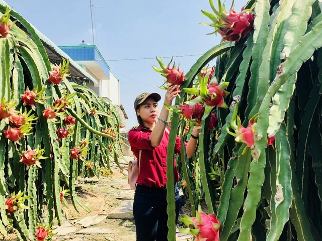 Mở rộng cơ hội tại Ấn Độ: Hai nền kinh tế bổ trợ cho nhau - Ảnh 2
