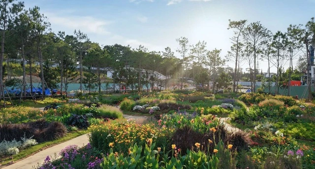 HAUS Da Lat giành 4 giải thưởng tại International Property Awards 2026 - Ảnh 4