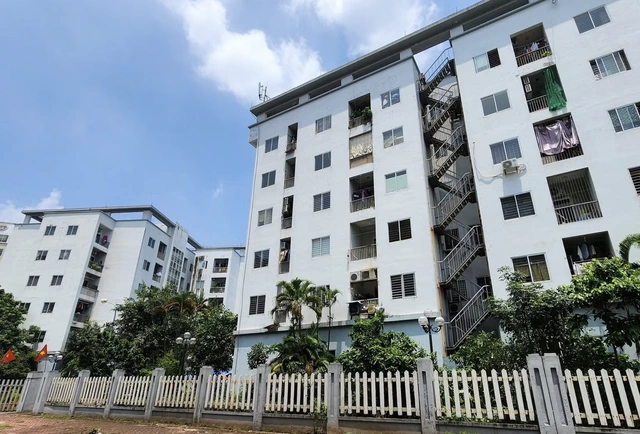 Nhà ở cho thuê cung không đủ cầu - Ảnh 1