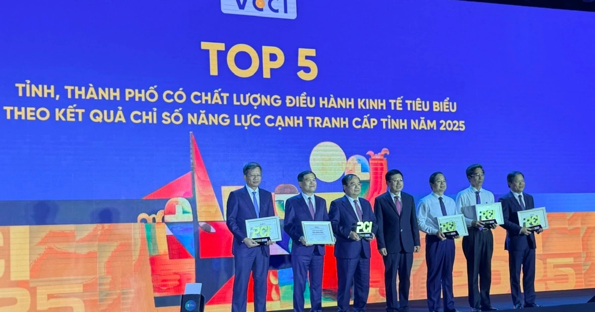 TP.HCM đứng đầu về chỉ số hiệu quả kinh tế tư nhân