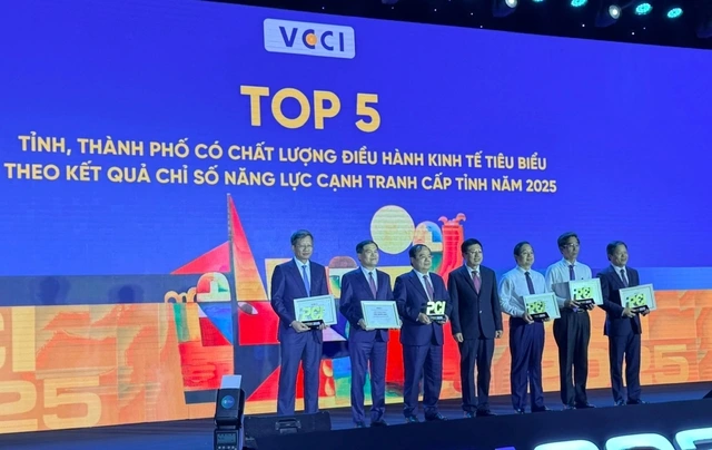 TP.HCM đứng đầu về chỉ số hiệu quả kinh tế tư nhân - Ảnh 2
