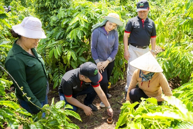 Nestlé Việt Nam nhận giải thưởng Rồng Vàng phát triển chuỗi giá trị nông nghiệp bền vững - Ảnh 4