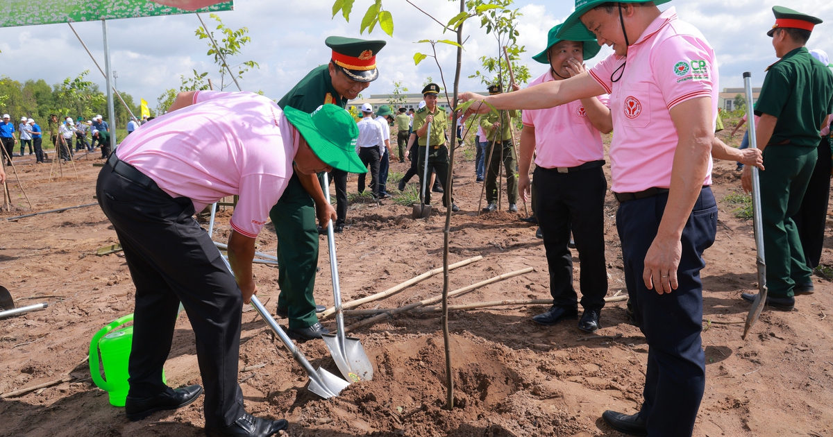 Công ty Chăn nuôi C.P. tiếp tục phủ mảng xanh tại Việt Nam