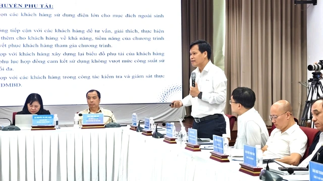 Hàng trăm MW điện sẽ được huy động ngay lập tức nhờ điều chuyển phụ tải - Ảnh 2