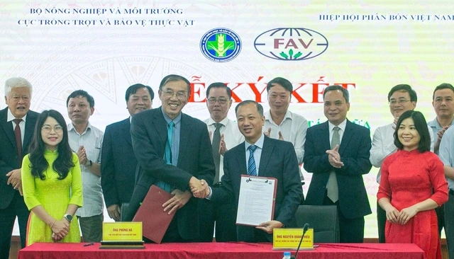 Thông tin mới nhất về gỡ tắc xuất khẩu sầu riêng Trung Quốc - Ảnh 2