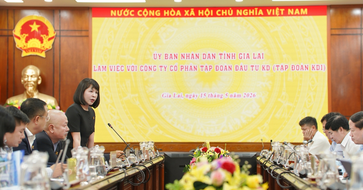 KDI Group làm việc với Gia Lai: Tiềm năng và tư duy phát triển hệ sinh thái