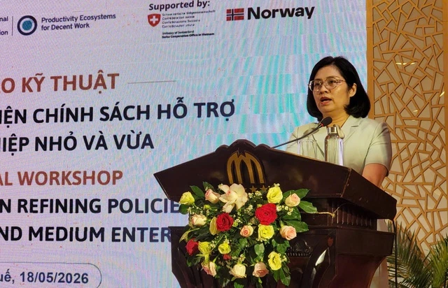 Góp ý cho dự thảo luật Hỗ trợ doanh nghiệp nhỏ và vừa - Ảnh 1