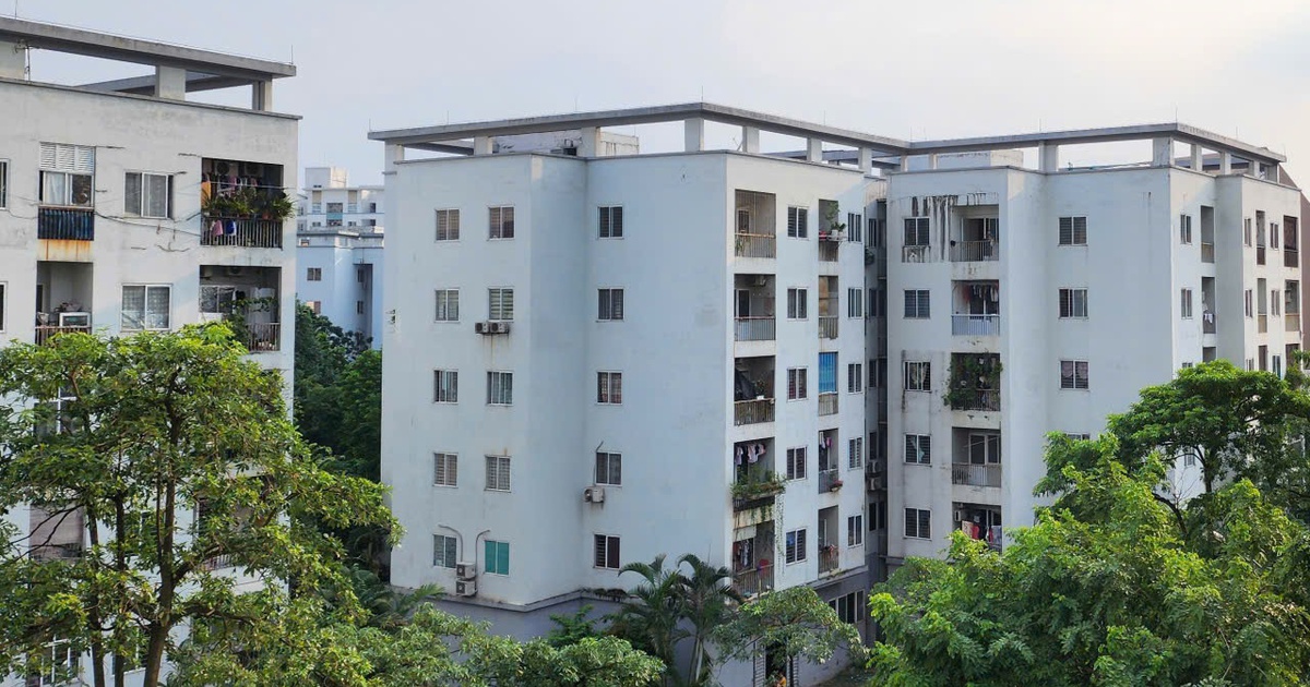 Vì sao doanh nghiệp 'ngại' làm nhà ở cho thuê?