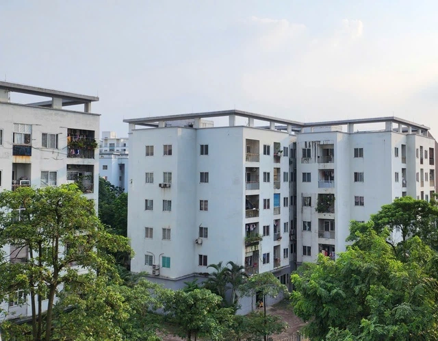 Vì sao doanh nghiệp 'ngại' làm nhà ở cho thuê? - Ảnh 1