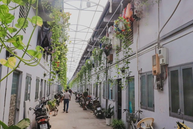 Tin vui cho người đi thuê nhà trọ - Ảnh 1