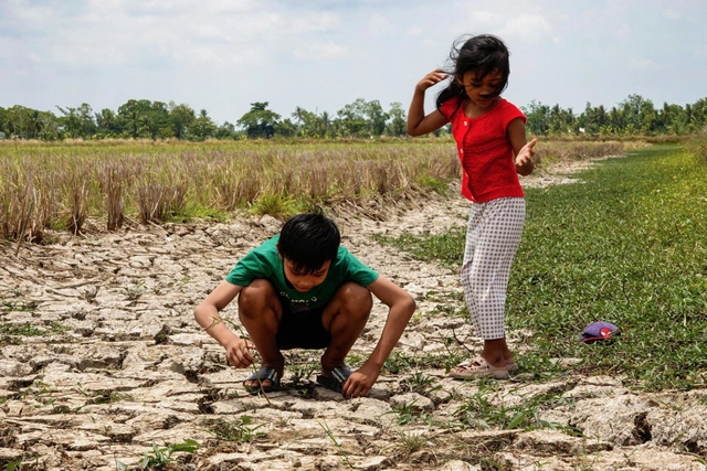 95% El Nino sắp xuất hiện, nhiều nơi nắng nóng gia tăng - Ảnh 1