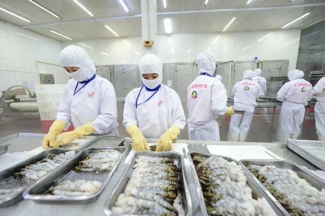 Xuất khẩu thủy sản có thể đạt kim ngạch 12 tỉ USD trong năm nay - Ảnh 1